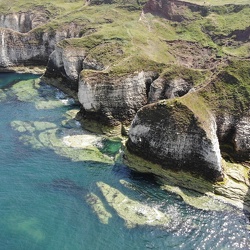 Flamborough 2019