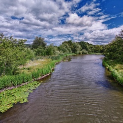 Silkstone Walk 2020