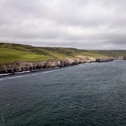Dorset 2021